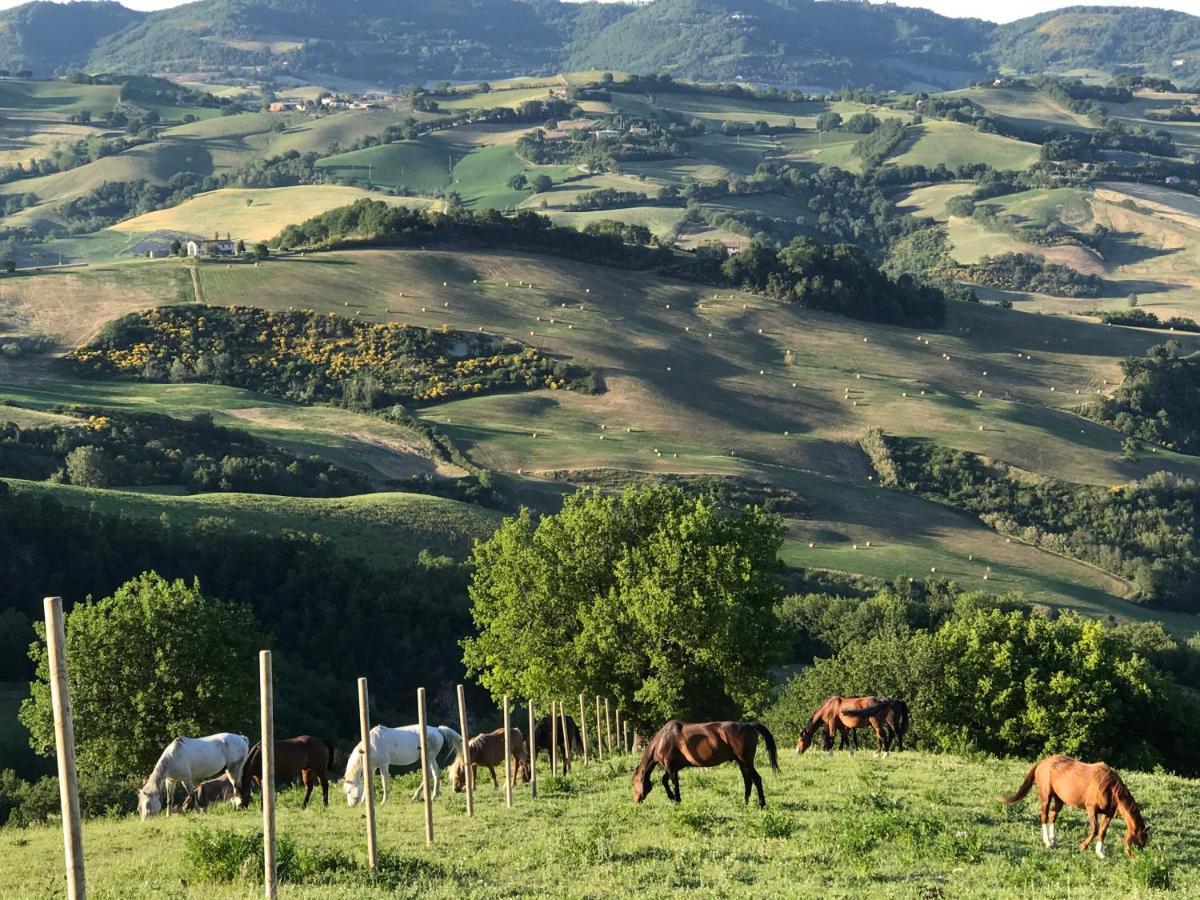 Willa Agriturismo "Le Cannelle" Spa & Day Wellness Fossombrone Zewnętrze zdjęcie