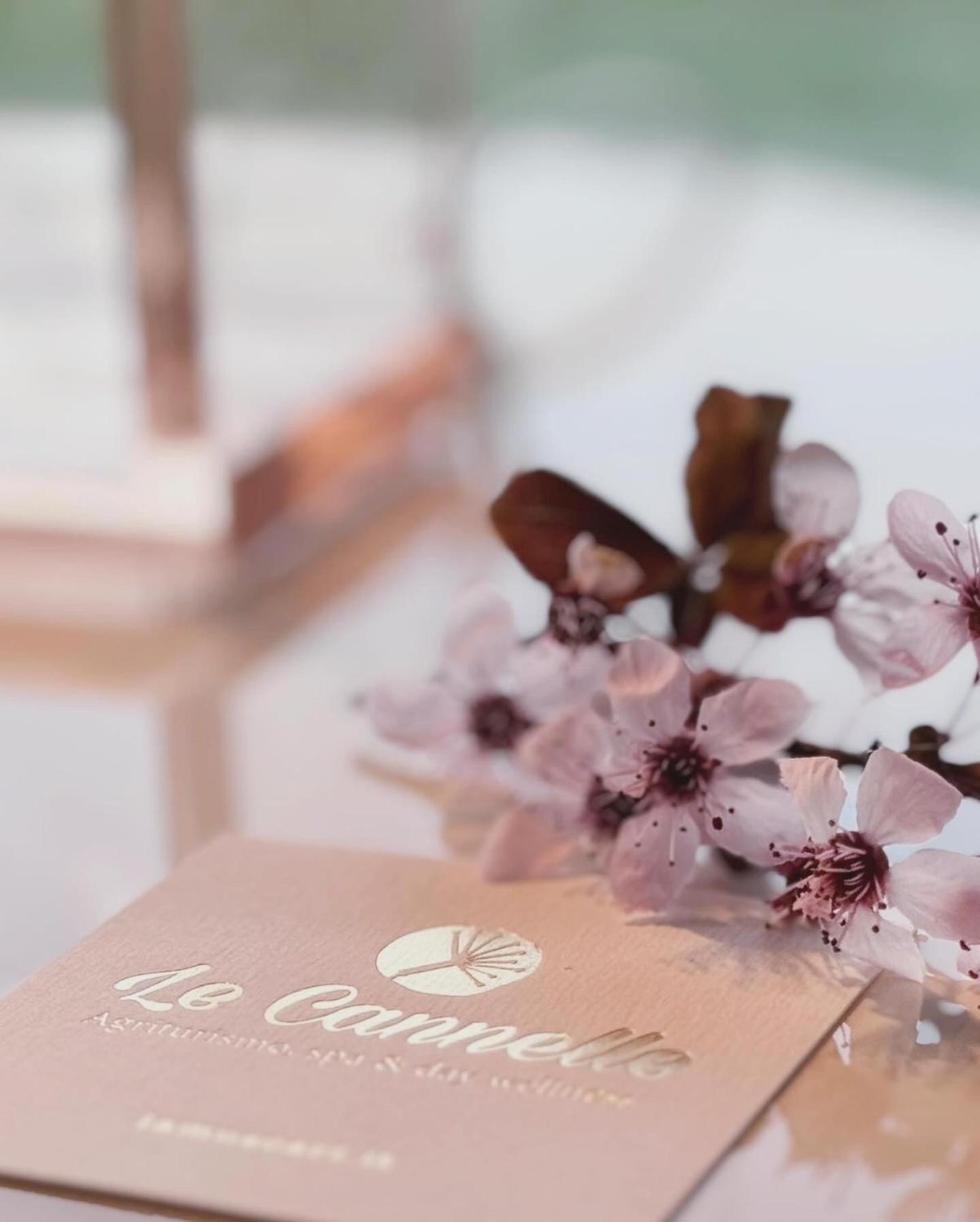 Willa Agriturismo "Le Cannelle" Spa & Day Wellness Fossombrone Zewnętrze zdjęcie